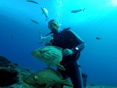 PADI Scuba diving in Rethymno Crete with Atlantis Diving Center3.jpg