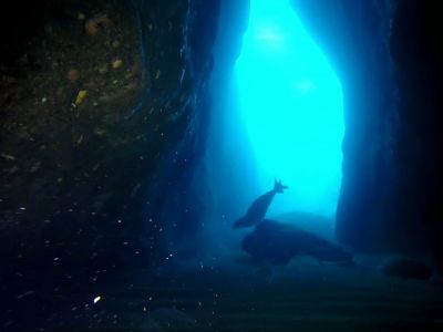 monk seal entrance cave panormo PADI Scuba diving in Rethymno Crete with Atlantis Diving Center.jpg