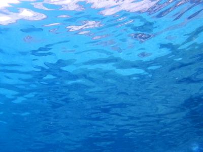 Surface PADI Scuba diving in Rethymno Crete with Atlantis Diving Center.jpg