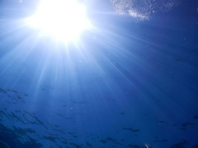 Sunlight PADI Scuba diving in Rethymno Crete with Atlantis Diving Center.JPG